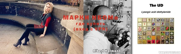 стаф Вязники