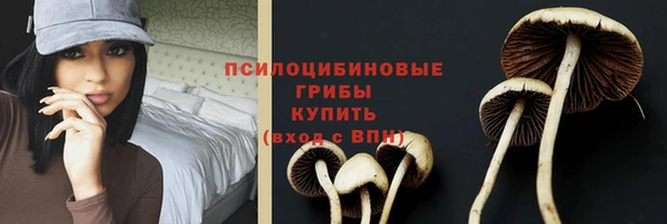 стаф Вязники