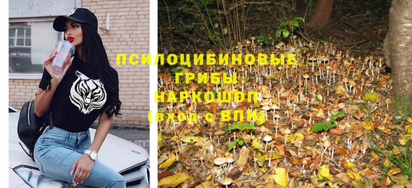 стаф Вязники