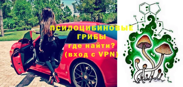 стаф Вязники